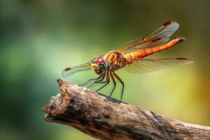 libellula su fiore con verde background.generative ai. foto