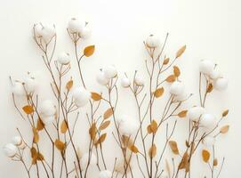 cotone e le foglie su bianca sfondo piatto posare stile foto