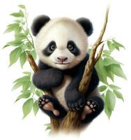 carino panda su naturale sfondo foto