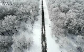 aereo Visualizza di un' foresta di neve coperto strada foto