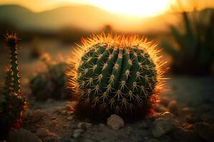 superiore Visualizza di esotico cactus nel deserto. neurale Rete ai generato foto