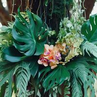 buio verde le foglie Monstera o Diviso foglia filodendro leggero e ombra sfondo. generativo ai foto