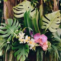 buio verde le foglie Monstera o Diviso foglia filodendro leggero e ombra sfondo. generativo ai foto