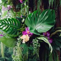 buio verde le foglie Monstera o Diviso foglia filodendro leggero e ombra sfondo. generativo ai foto