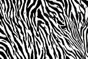 zebra pelle sfondo, zebra pelle struttura, ai generativo foto