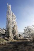 bellissima campagna invernale innevata da favola con cielo blu nella Boemia centrale, repubblica ceca foto