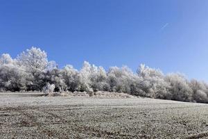 bellissima campagna invernale innevata da favola con cielo blu nella Boemia centrale, repubblica ceca foto