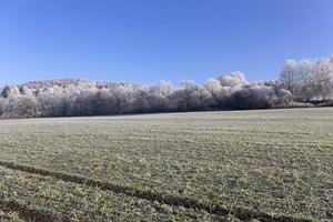 bellissima campagna invernale innevata da favola con cielo blu nella Boemia centrale, repubblica ceca foto