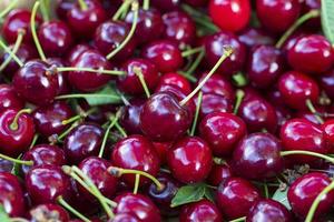 raccolto estivo di ciliegie rosse foto