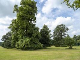 alberi in un parco di campagna inglese in estate foto