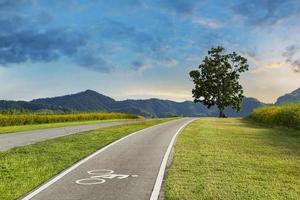 pista ciclabile paesaggistica su una collina con un albero foto