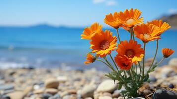 un' mazzo di arancia fiori su un' roccioso spiaggia generativo ai foto