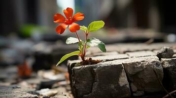 un' piccolo arancia fiore in crescita su di un' crepa nel il terra generativo ai foto