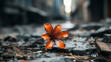 un arancia fiore si siede su il terra nel il mezzo di un' città strada generativo ai foto