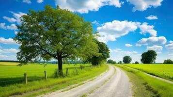 montagna strada. paesaggio con rocce, soleggiato cielo con nuvole e bellissimo asfalto strada nel il sera nel estate. autostrada nel montagne, generativo ai illustrazione foto