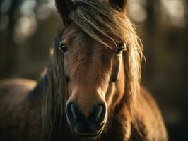 pony ritratto creato con generativo ai tecnologia foto