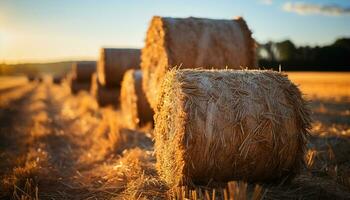 rurale scena azienda agricola prato, covoni di fieno, Grano, erba, tramonto generato di ai foto