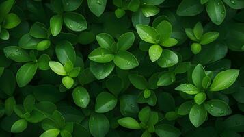 vicino incontri - verde foglia ritratti, generato ai catturare foto