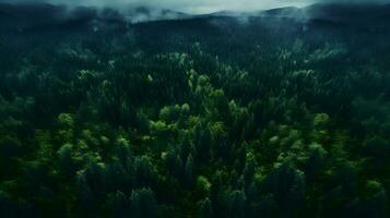 vista dall'alto luce del giorno foresta panorama - generato ai tiro foto