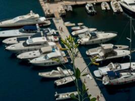 monte Carlo a il mediterraneo mare foto