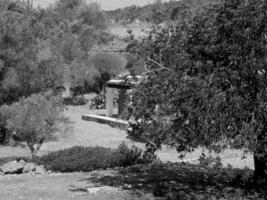 il isola di ibiza foto