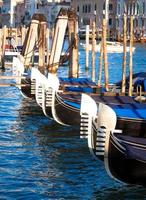 Venezia, Italia. dettaglio gondole foto