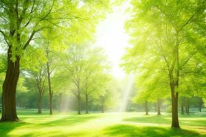 bellissimo paesaggio parco con alberi e sole. colorato fogliame nel il parco. ai generativo professionista foto