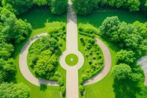 bellissimo paesaggio parco con alberi e sole. colorato fogliame nel il parco. ai generativo professionista foto