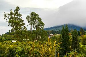 bellissimo montagna paesaggio città panorama foresta alberi natura costa rica. foto