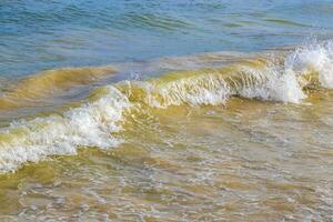 onde a tropicale spiaggia caraibico mare chiaro turchese acqua Messico. foto