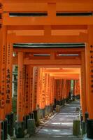 il santuario di il mille torii cancelli. fushimi inari santuario. esso è famoso per suo migliaia di vermiglio torii cancelli. Giappone foto