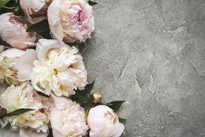 fiori di peonia su uno sfondo di cemento