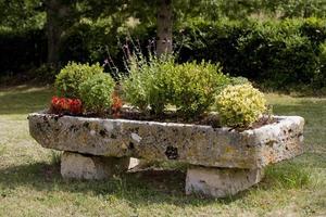 vecchio laghetto in pietra trasformato in un piccolo giardino, francia foto