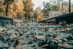 ferrovia strada attraverso un' foreste la zona concetto foto. Ferrovia nel Europa. foto