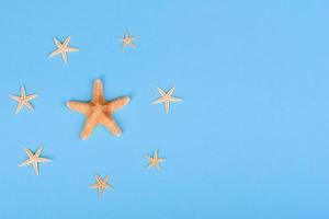 occhiali e cappello con conchiglie e stelle marine su sfondo colorato foto