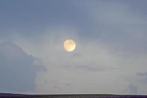 paesaggio con una grande luna sopra un campo di lavanda foto