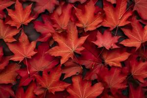 vino rosso autunno le foglie struttura, autunno natura sfondo, ai generativo foto