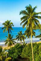 bellissimo Paradiso tropicale spiaggia onde palme mirissa spiaggia sri lanka. foto