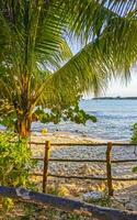 di legno pista camminare sentiero e recinto a caraibico spiaggia Messico. foto