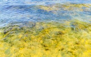 pietre rocce coralli turchese verde blu acqua su spiaggia Messico. foto