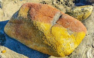 giallo arancia rosso pietra roccia su il spiaggia sabbia nel Messico. foto