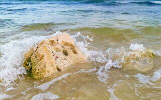 pietre rocce coralli turchese verde blu acqua su spiaggia Messico. foto