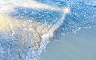 onde a tropicale spiaggia caraibico mare chiaro turchese acqua Messico. foto