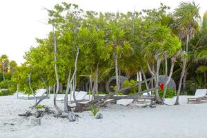 palapa paglia tetti palme ombrelloni sole lettini spiaggia ricorrere Messico. foto