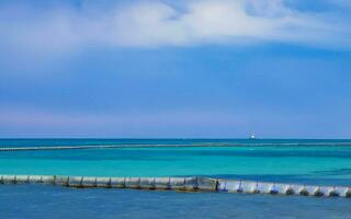 alga marina sargazo netto caraibico spiaggia acqua playa del Carmen Messico. foto