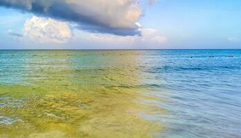 spiaggia messicana tropicale chiara acqua turchese playa del carmen messico. foto