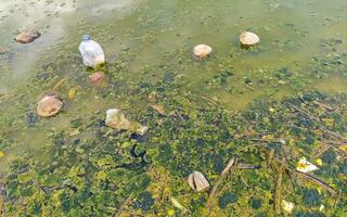 sporco verde inquinata e spazzatura fiume nel puerto escondido Messico. foto