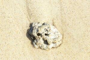 pietre conchiglie coralli su spiaggia sabbia playa del Carmen Messico. foto