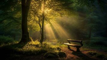raggi di sole su un' panchina nel il foresta generativo ai, ai generato foto