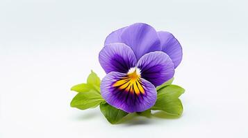 foto di bellissimo viola del pensiero fiore isolato su bianca sfondo. generativo ai